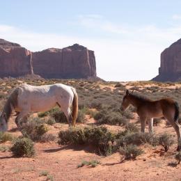 monument valley 007024