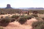 monument valley 007030