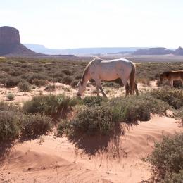 monument valley 007030