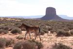 monument valley 007037