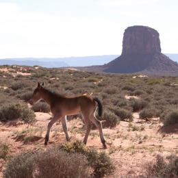 monument valley 007037