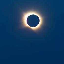 2026 08 12 0163